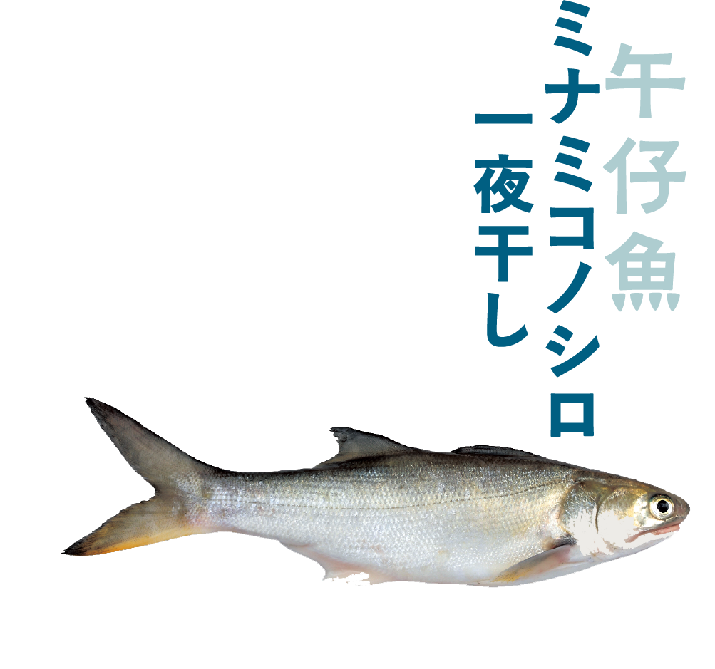 ミナミコノシロ一夜干し